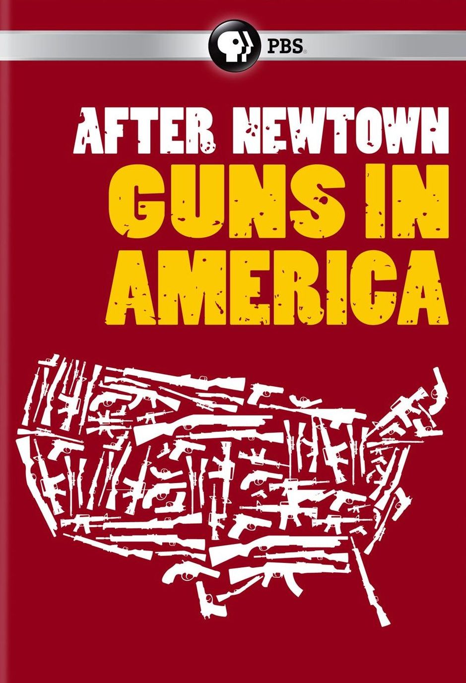 AFTER NEWTOWN: GUNS IN AMERICA
