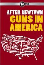 AFTER NEWTOWN: GUNS IN AMERICA