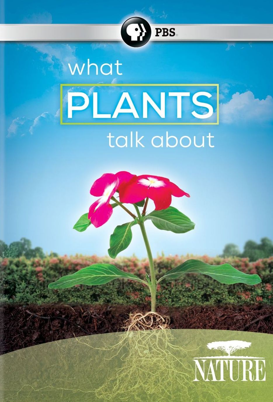 Nature: What Plants Talk About
