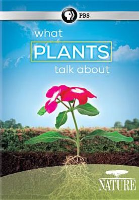 Nature: What Plants Talk About