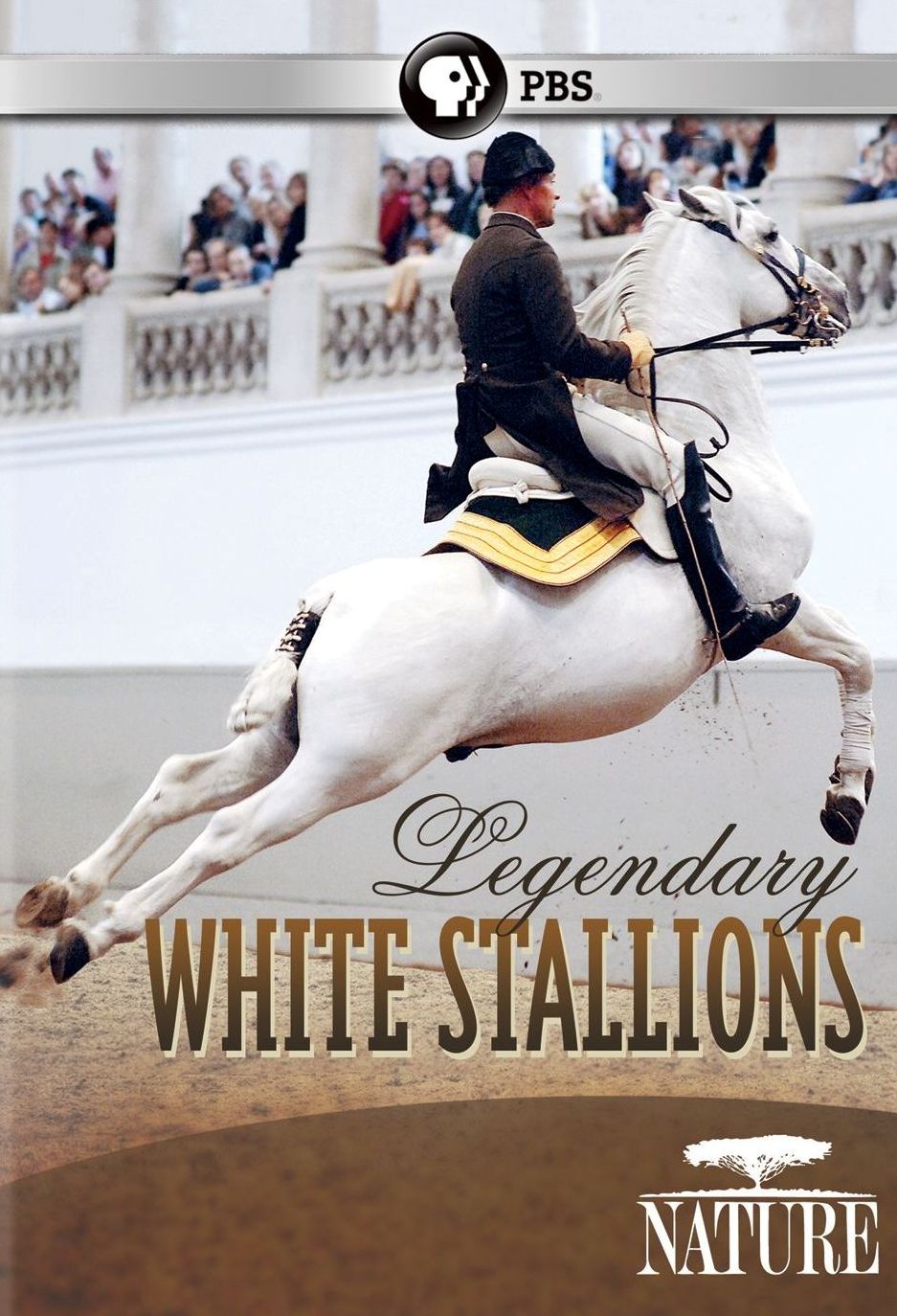 Nature: Legendary White Stallions