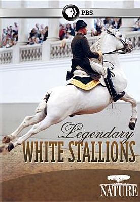 Nature: Legendary White Stallions