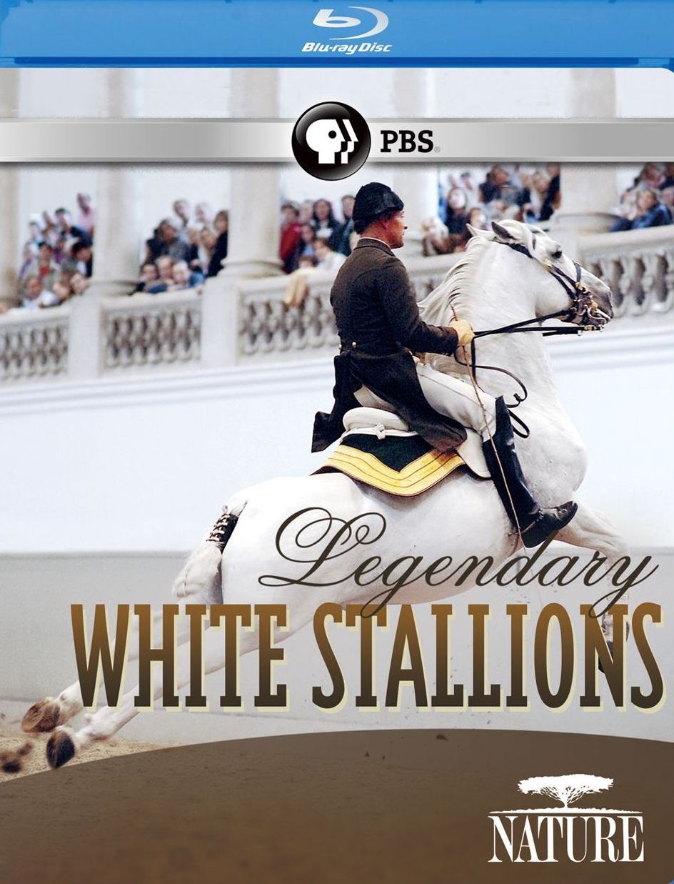 Nature: Legendary White Stallions [Blu-ray]