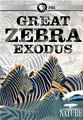 Nature: Great Zebra Exodus