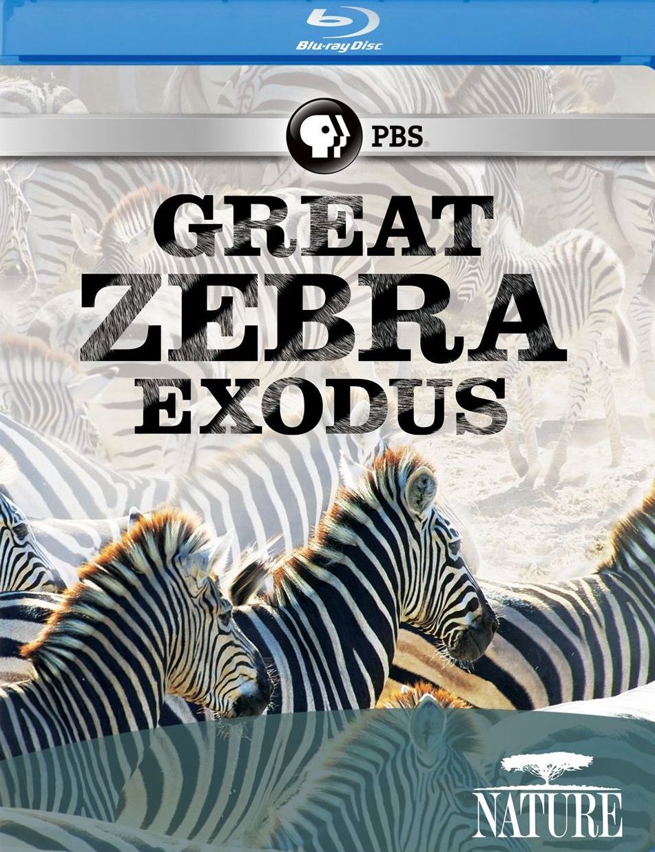 Nature: Great Zebra Exodus [Blu-ray]