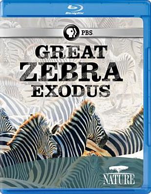 Nature: Great Zebra Exodus [Blu-ray]