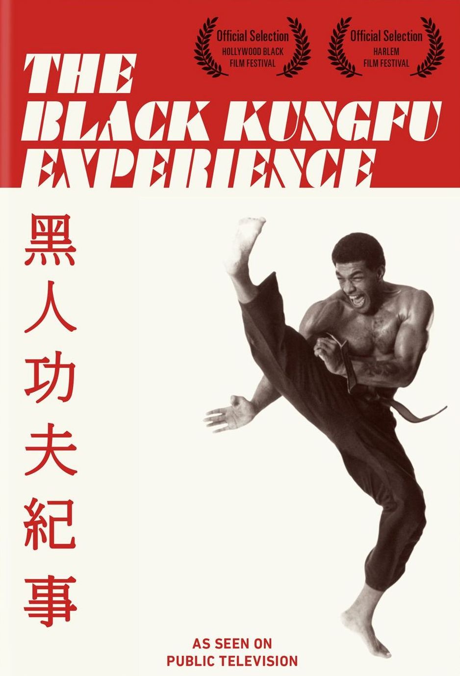 The Black Kungfu Experience