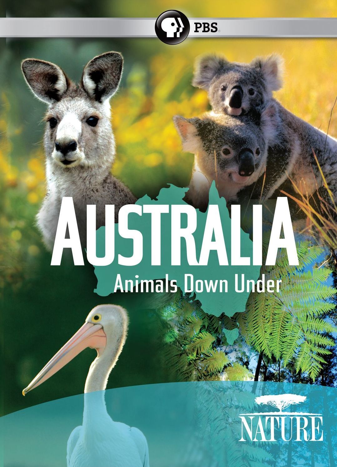Nature: Australia - Animals Down Under [2 Discs]