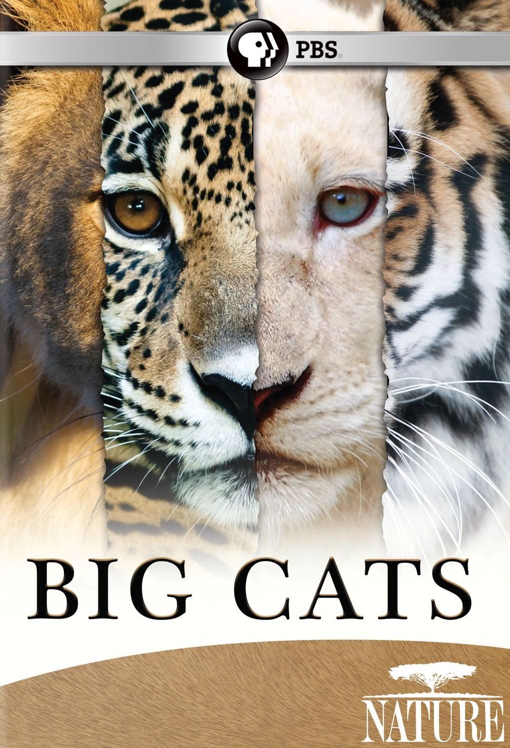 Nature: Big Cats [2 Discs]