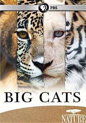 Nature: Big Cats [2 Discs]