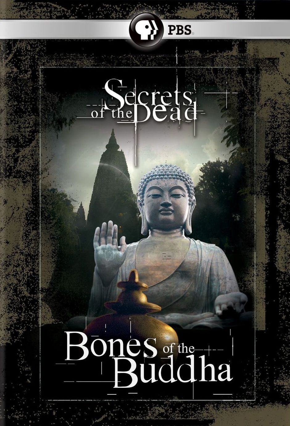 SECRETS OF THE DEAD: BONES OF B