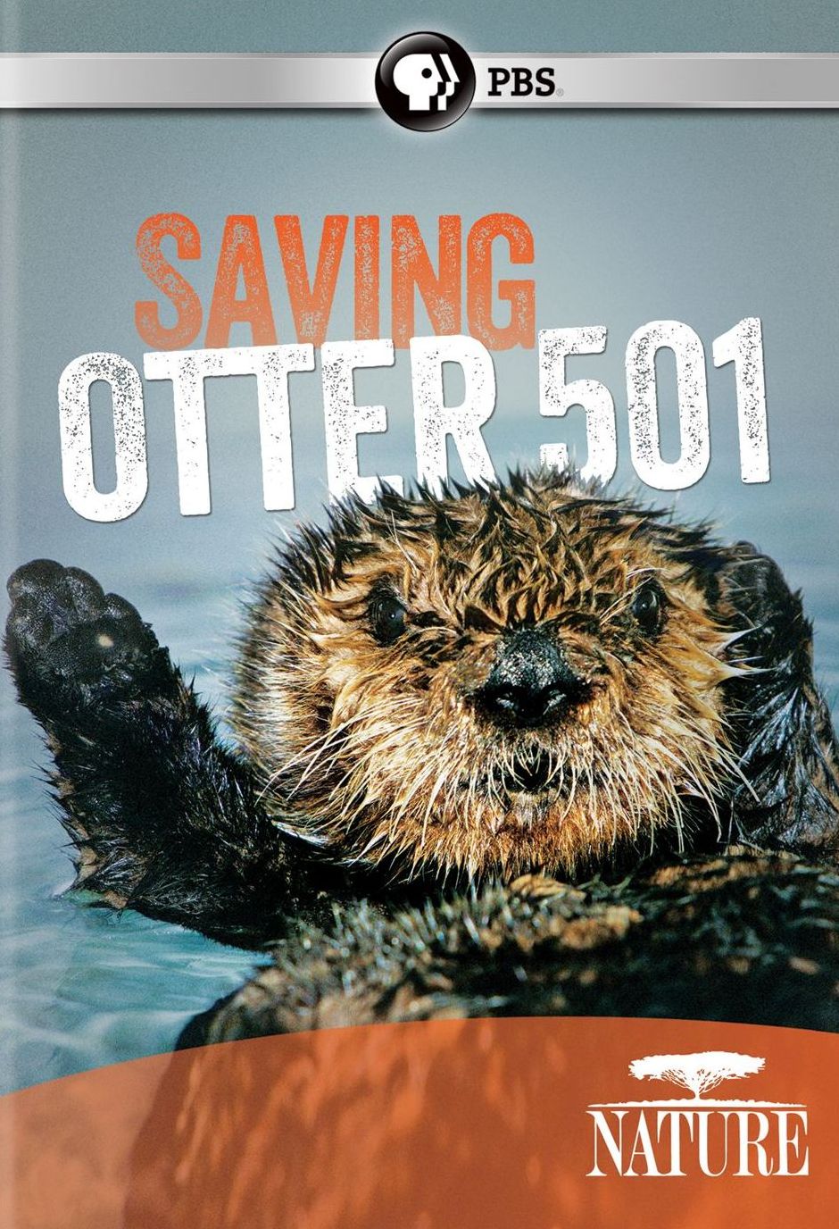 SAVING OTTER 501