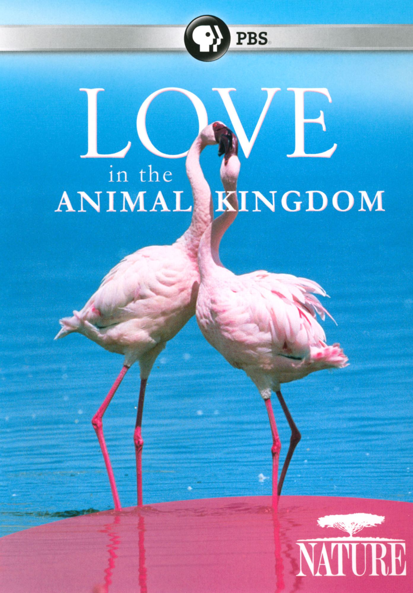LOVE IN THE ANIMAL KINGDOM