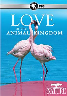 LOVE IN THE ANIMAL KINGDOM