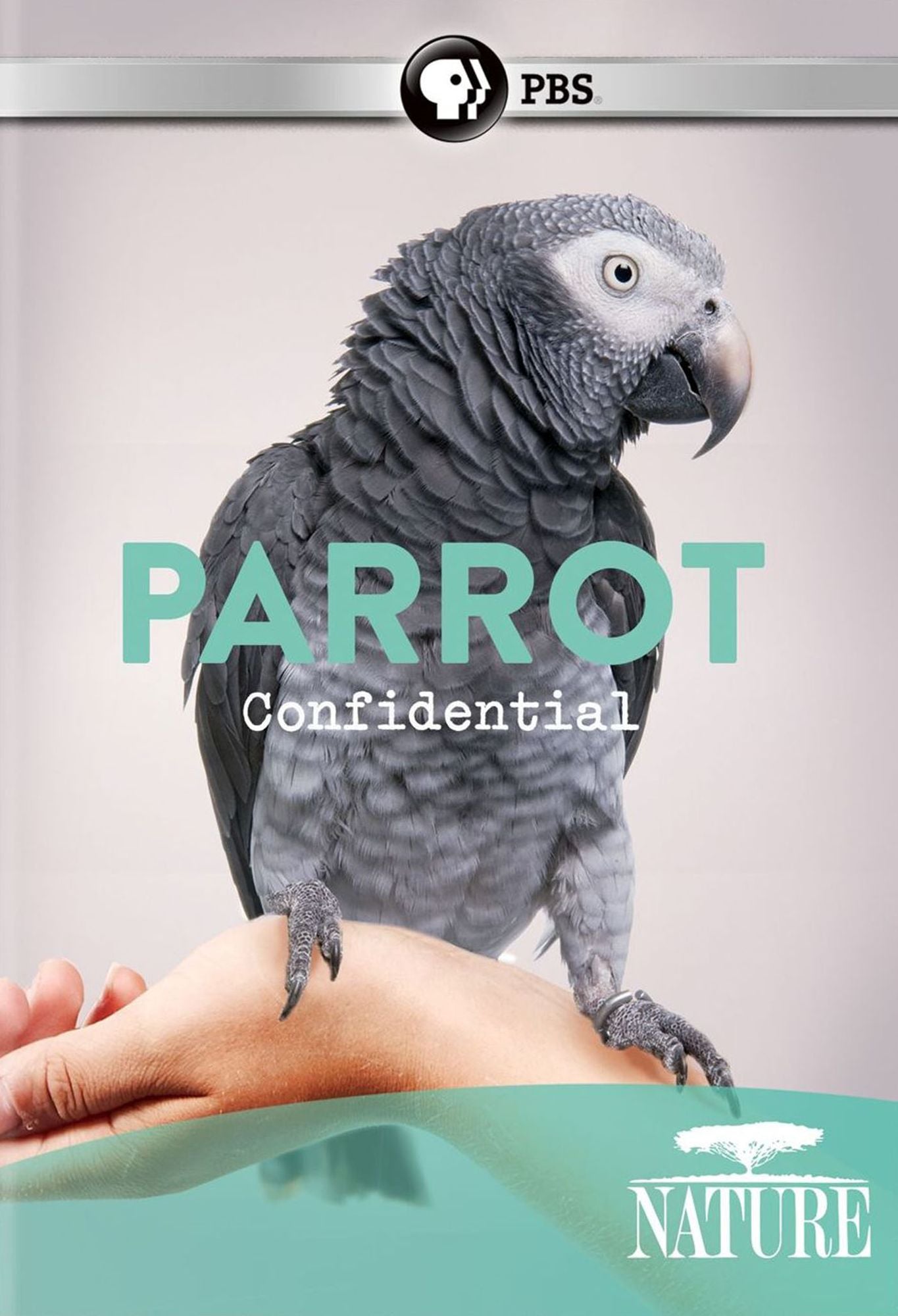 PARROT CONFIDENTIAL