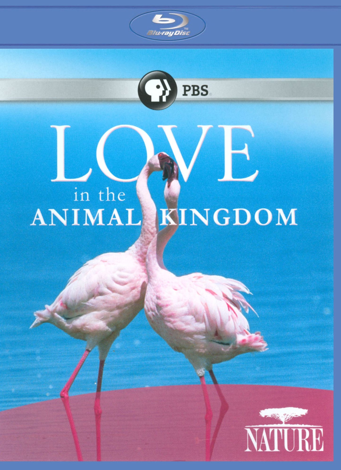 LOVE IN THE ANIMAL KINGDOM (BR)