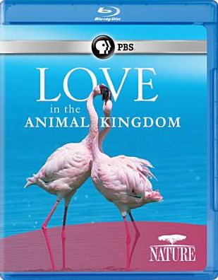 LOVE IN THE ANIMAL KINGDOM (BR)