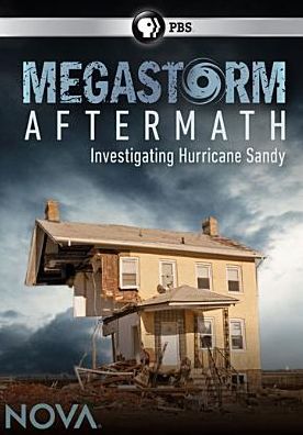 MEGASTORM AFTERMATH