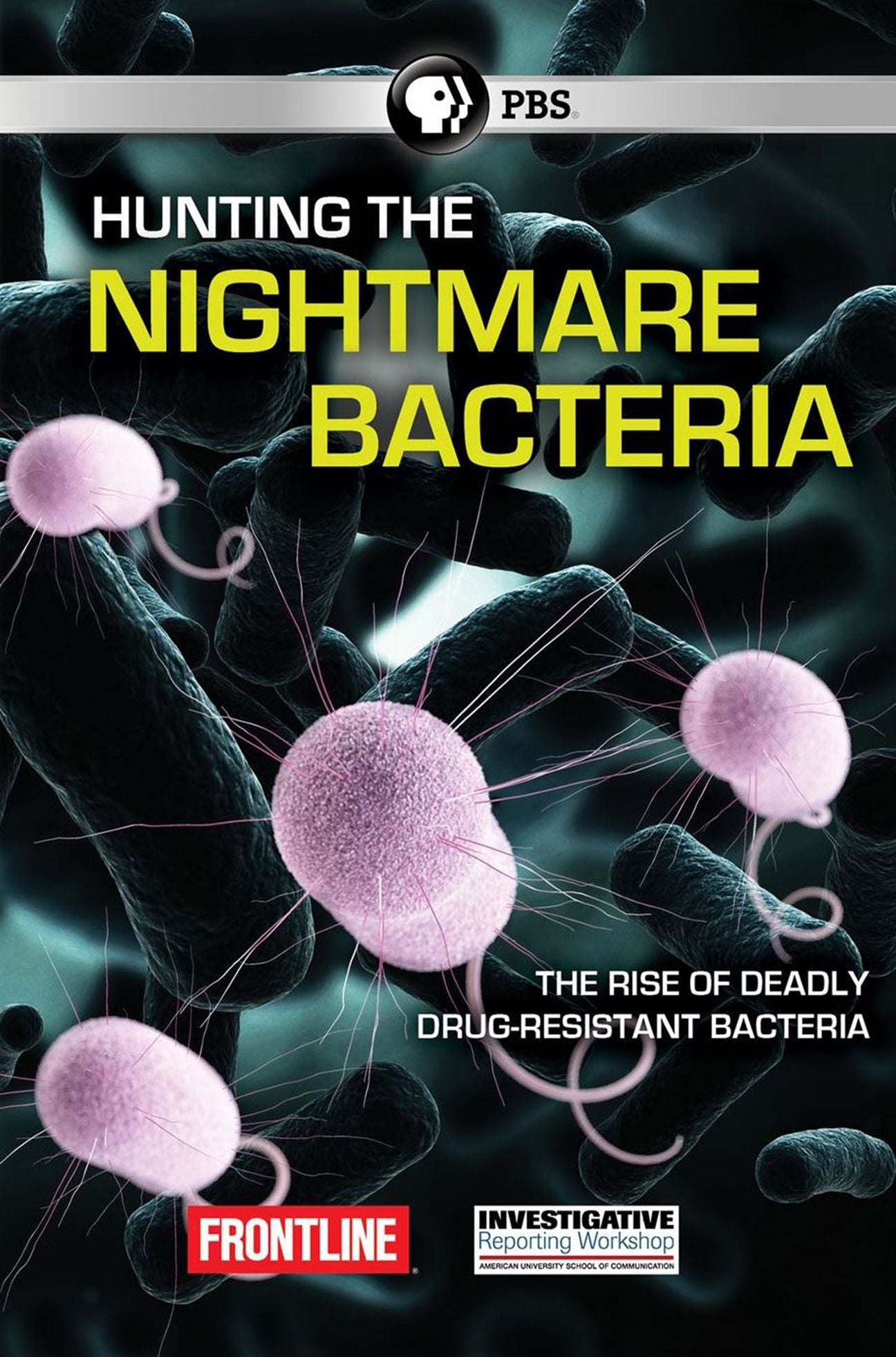 HUNTING THE NIGHTMARE BACTERIA