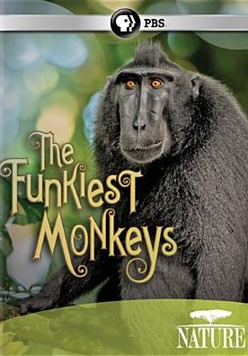 NATURE: FUNKIEST MONKEYS