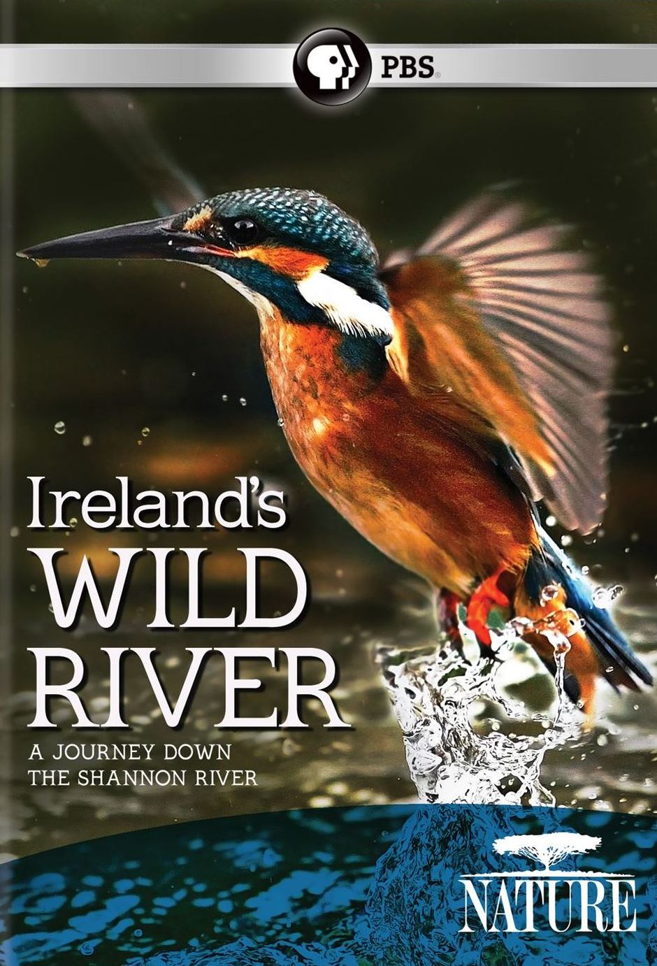 Nature: Ireland's Wild River