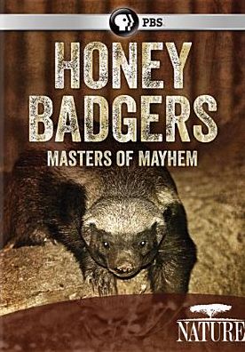 NATURE: HONEY BADGERS: MASTERS