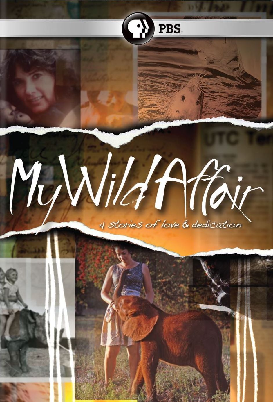MY WILD AFFAIR / (2PC) (2PK)