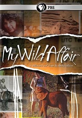 MY WILD AFFAIR / (2PC) (2PK)
