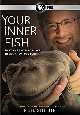 YOUR INNER FISH