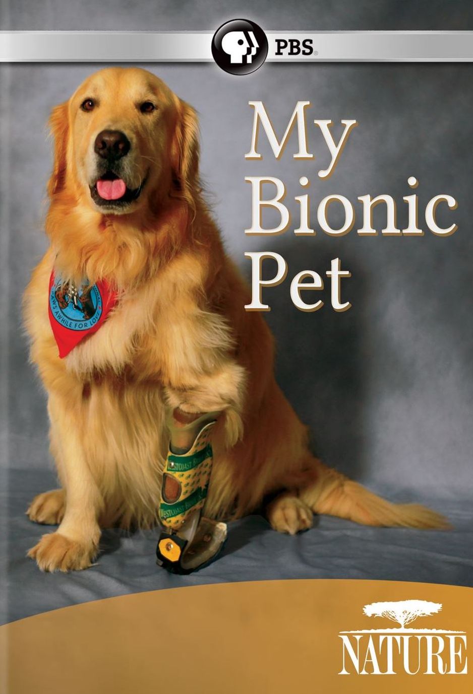 NATURE: MY BIONIC PET