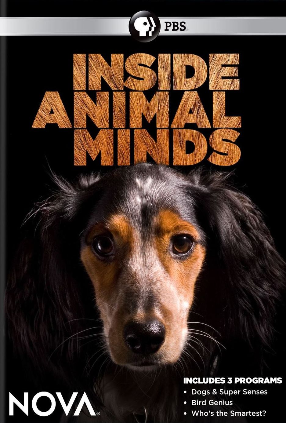 NOVA: INSIDE ANIMAL MINDS