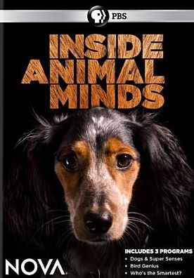 NOVA: INSIDE ANIMAL MINDS