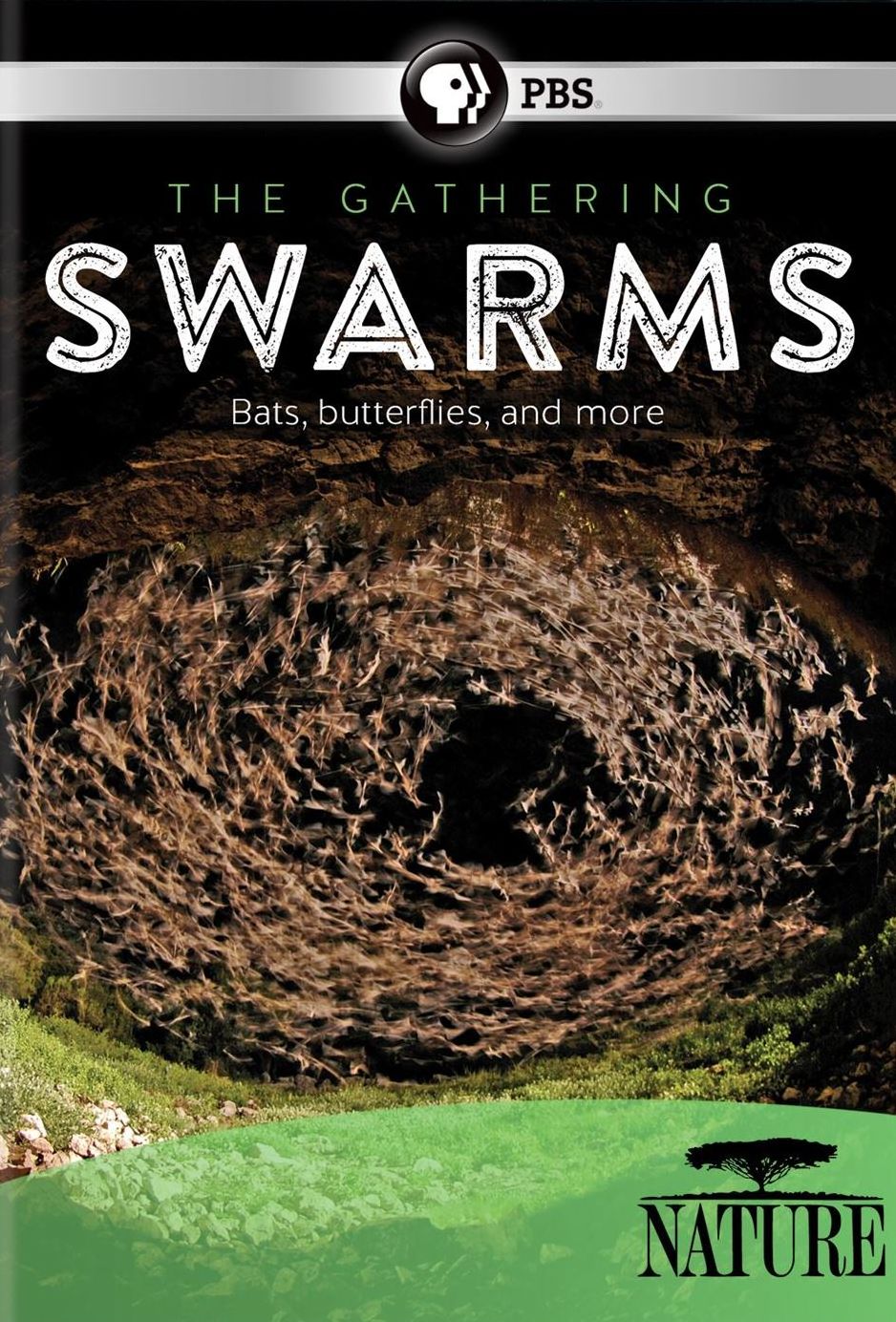 Nature: The Gathering of Swarms