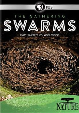 Nature: The Gathering of Swarms