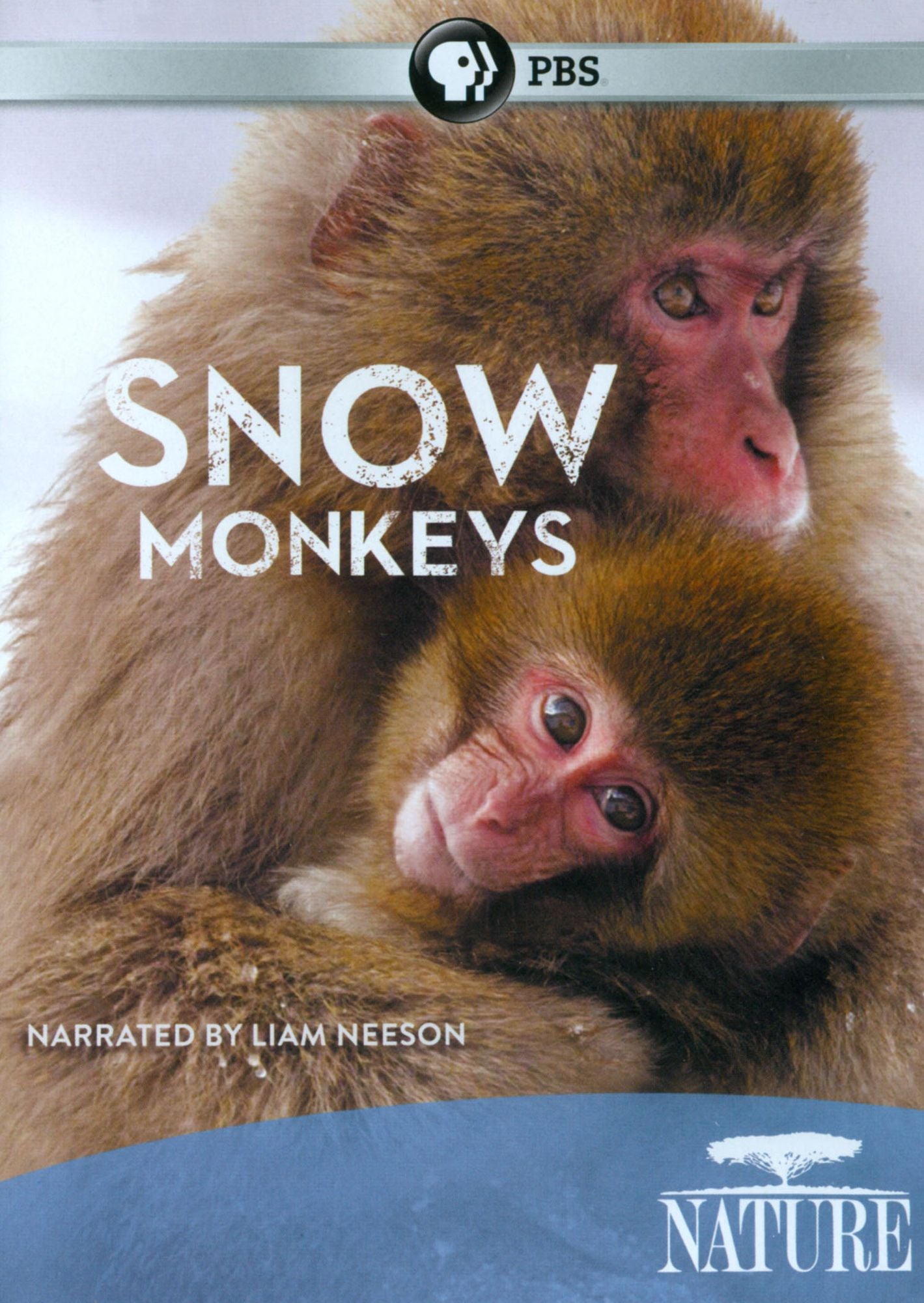 NATURE: SNOW MONKEYS
