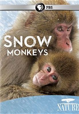 NATURE: SNOW MONKEYS