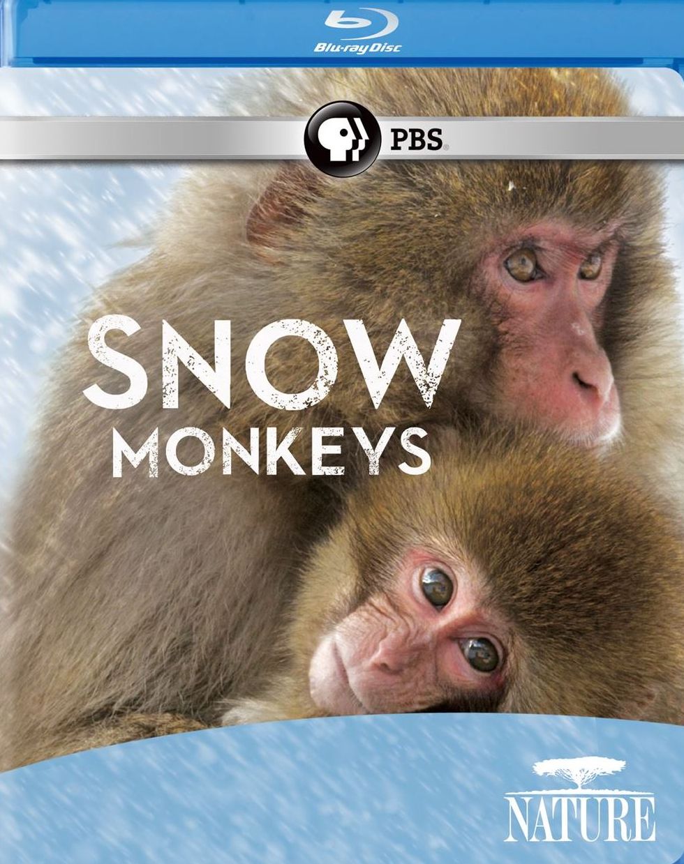 NATURE: SNOW MONKEYS / (BR)