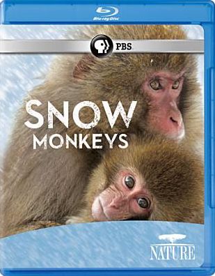 NATURE: SNOW MONKEYS / (BR)