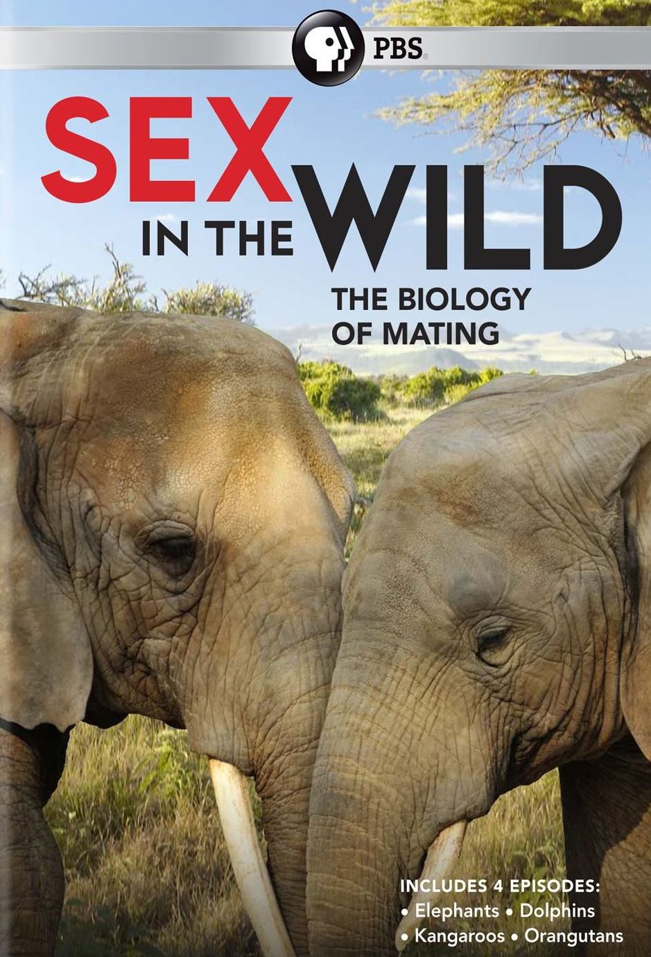 SEX IN THE WILD / (2PC)