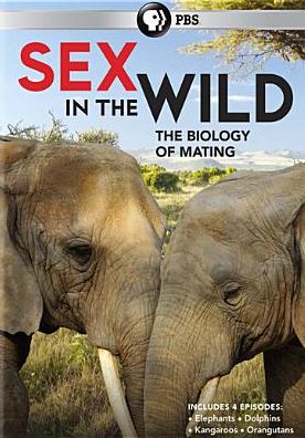SEX IN THE WILD / (2PC)