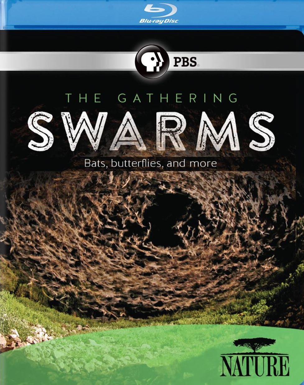 GATHERING OF SWARMS / (BR)