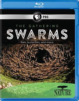 GATHERING OF SWARMS / (BR)