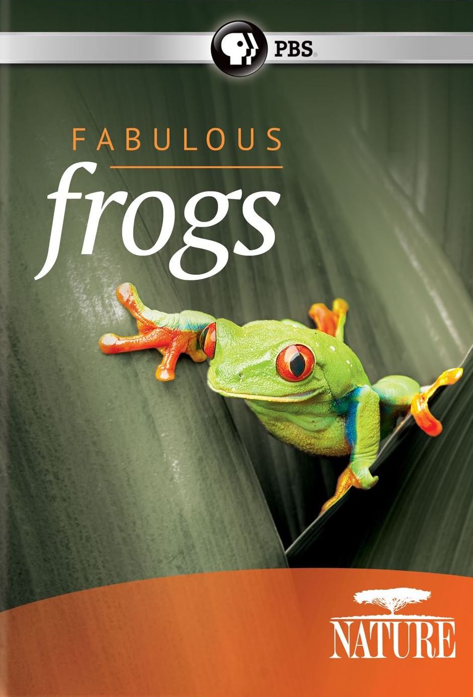 NATURE: FABULOUS FROGS
