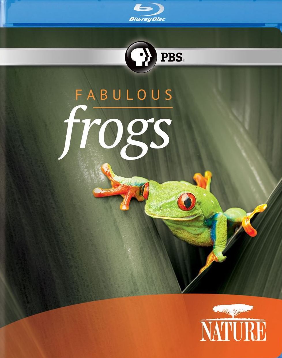 NATURE: FABULOUS FROGS (BR)