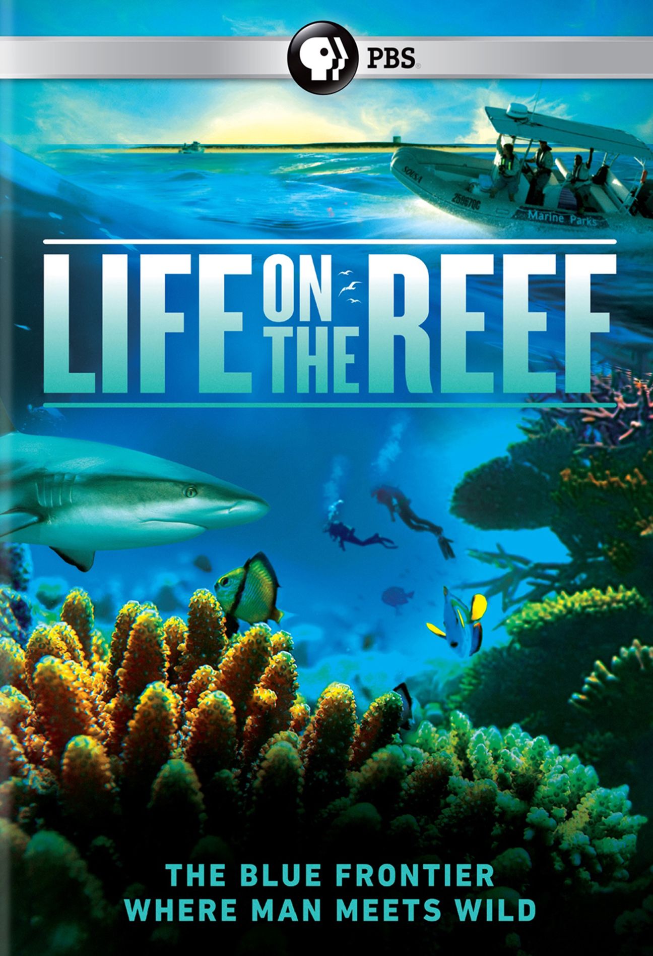 LIFE ON THE REEF