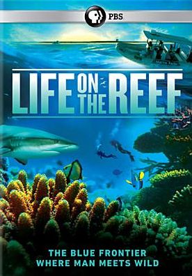 LIFE ON THE REEF
