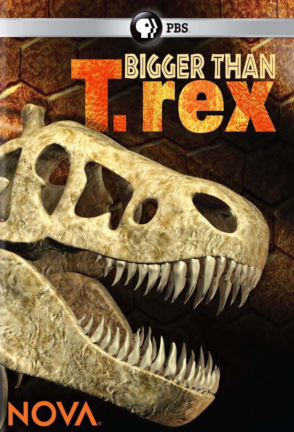 NOVA: BIGGER THAN T REX