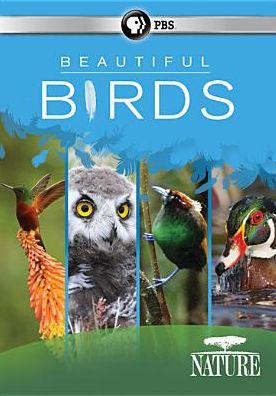 NATURE: BEAUTIFUL BIRDS (BOX)