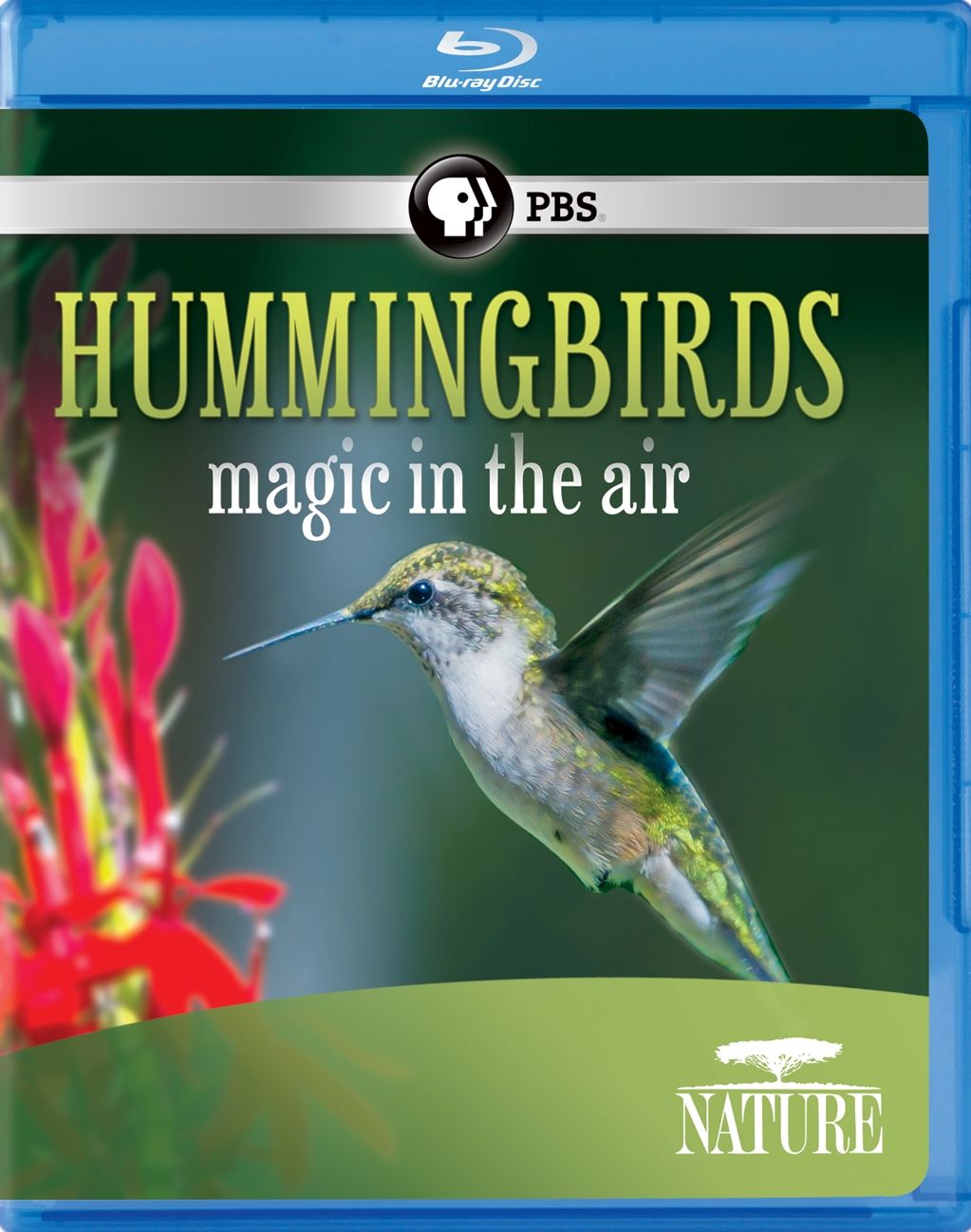 Nature: Hummingbirds: Magic in the Air [Blu-ray]