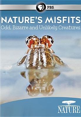 NATURE: ANIMAL MISFITS